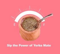 Your Ultimate Guide to Yerba Mate